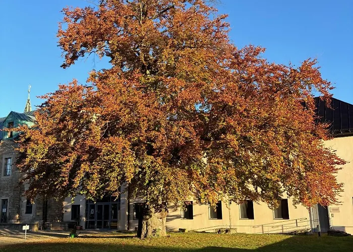 Kloster Huysburg Ekkehard Haus *